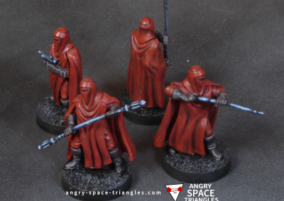 Photo of Imperial Guard
